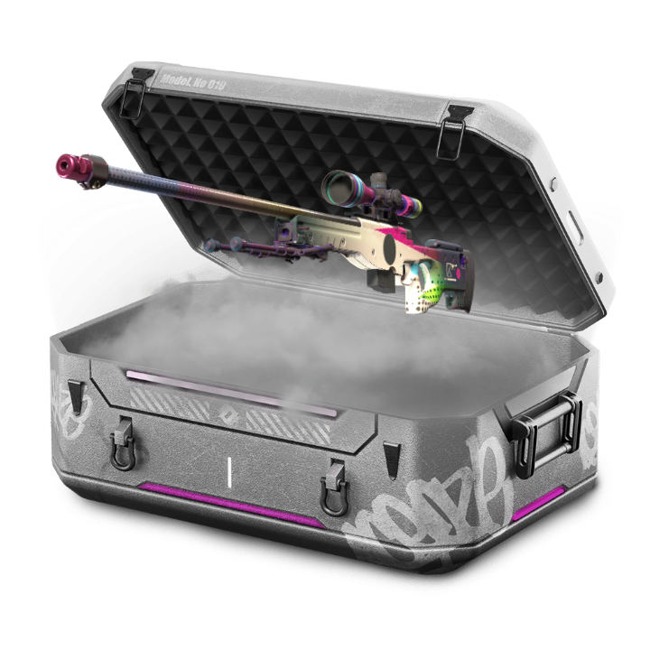 10% Battle Case