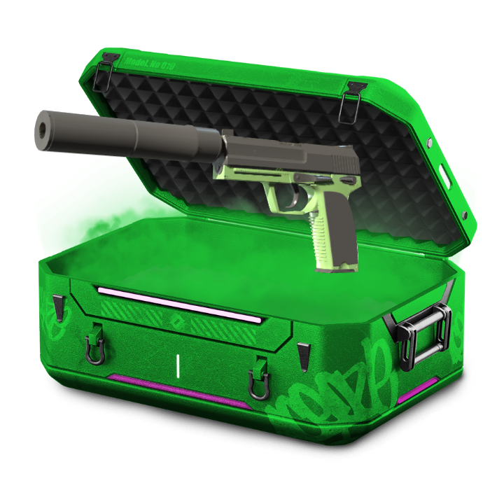 Cool Pistol Case