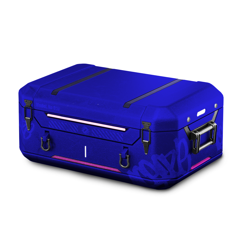 Taro case