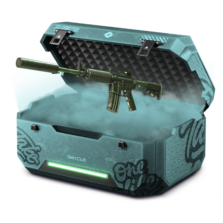 snikkel 10% old skins