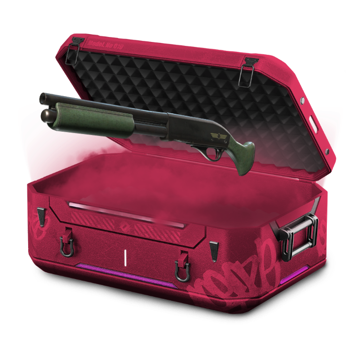 Scout case