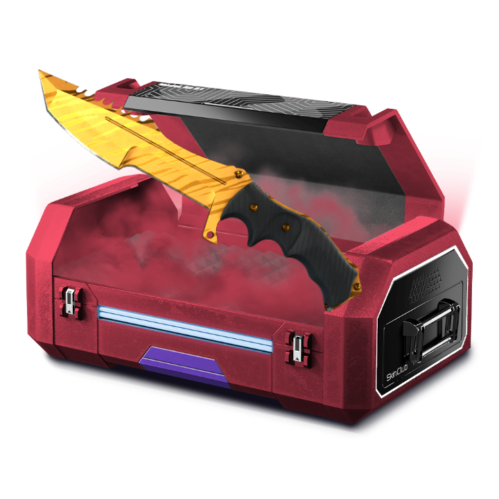 %10 knife cases