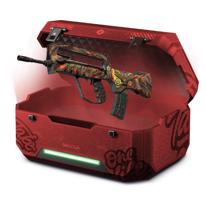 BUDGET FRIENDLY GOOD SKIN