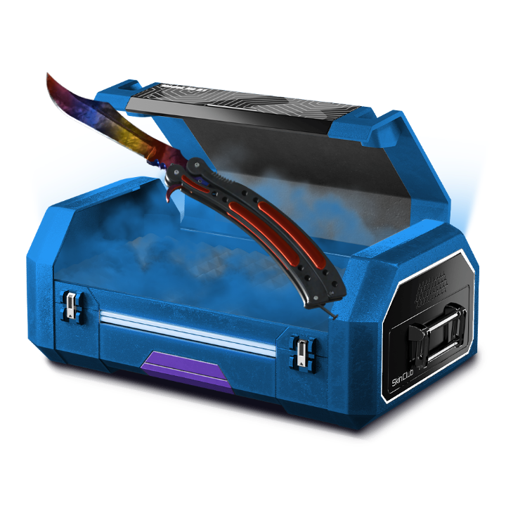 butterfly case