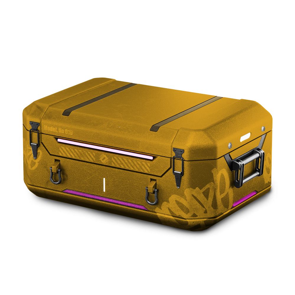 $3 POO CASE