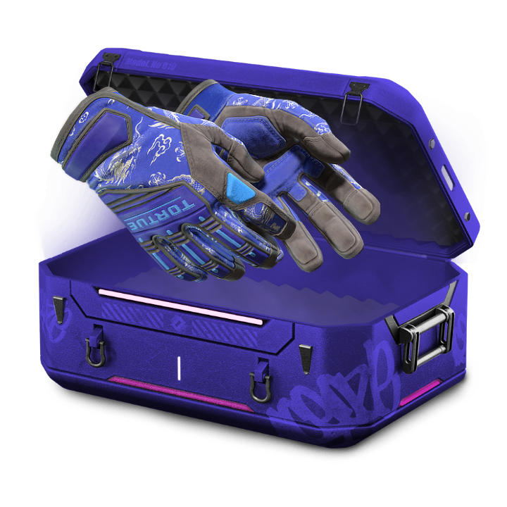 COMPUTER CAT CASE