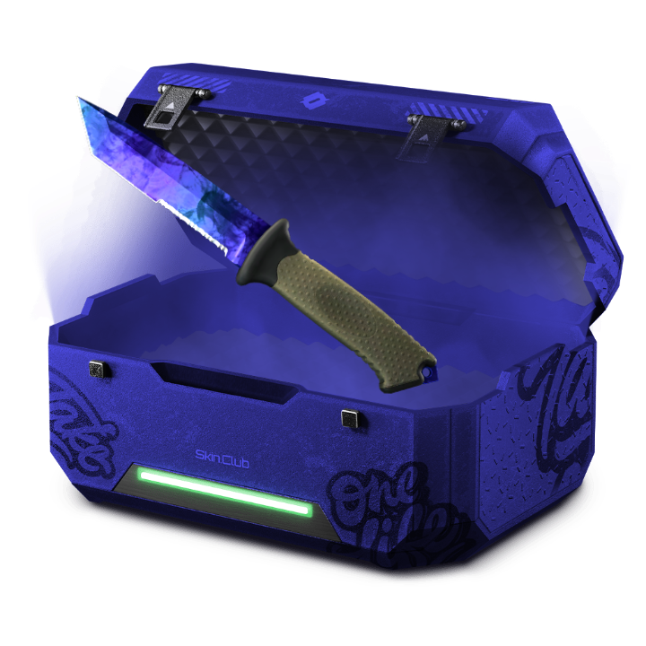 Budget Sapphire case v1