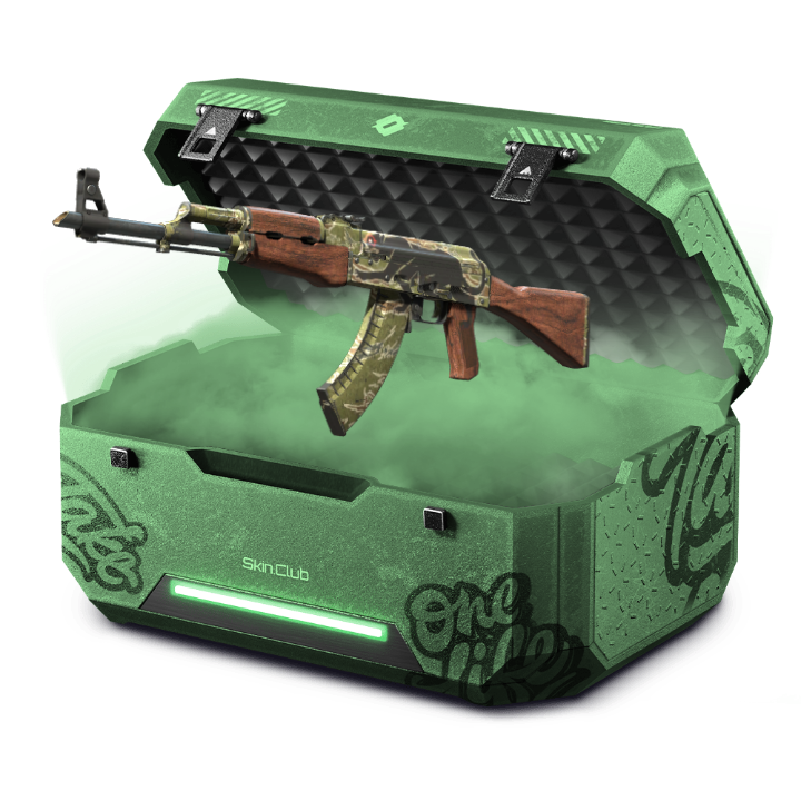 2$ Boom new play skin