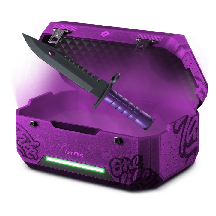 Princess case RICKY