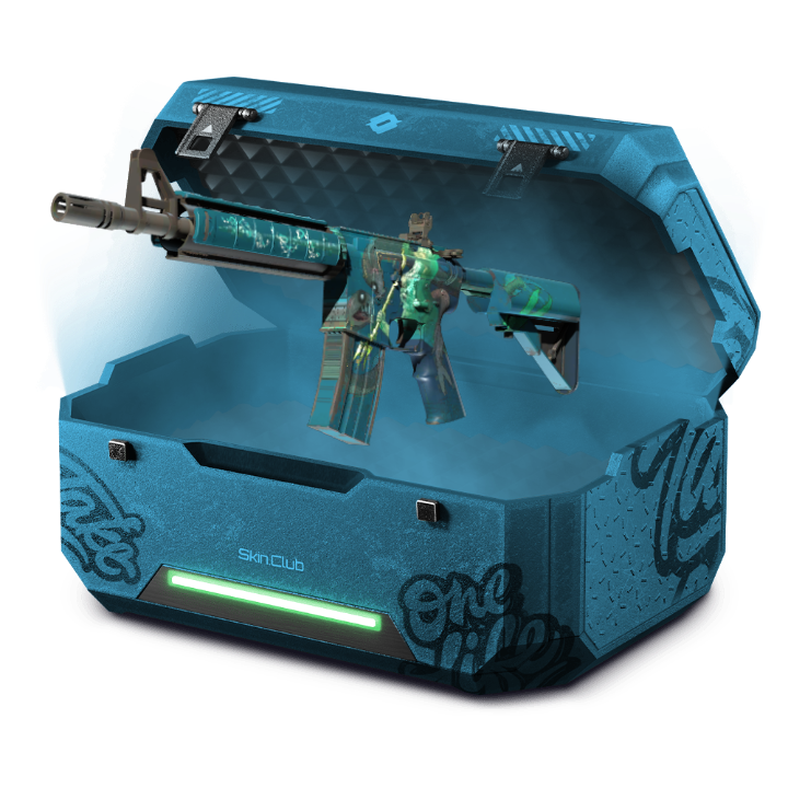 SILK IN THE SONG CASE