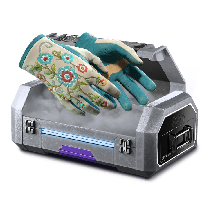Not Free LEVEL 60 CASE