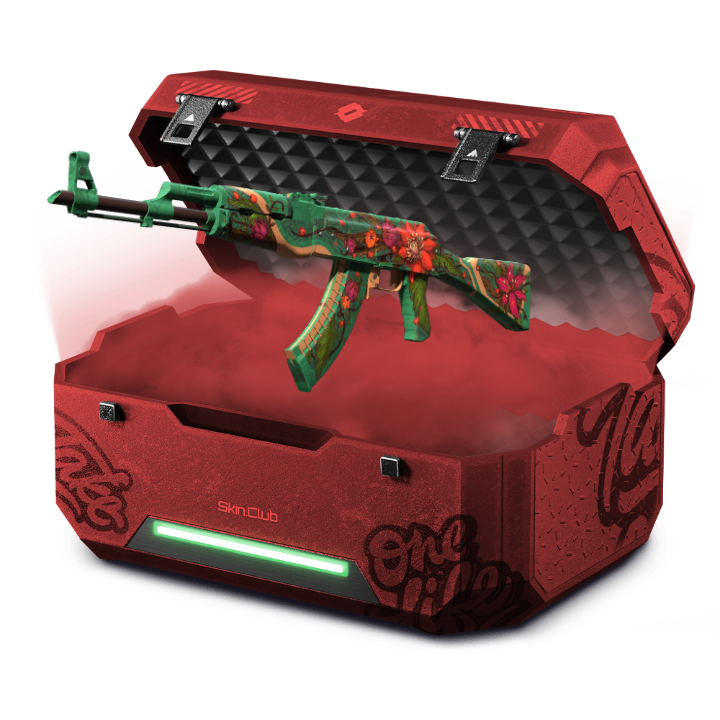 Rifle Case