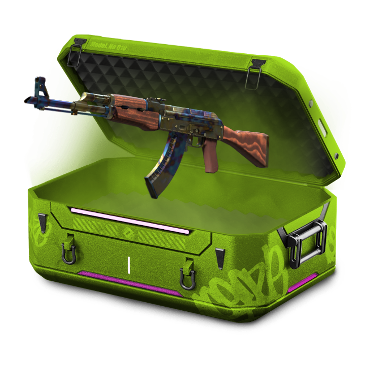 CASE