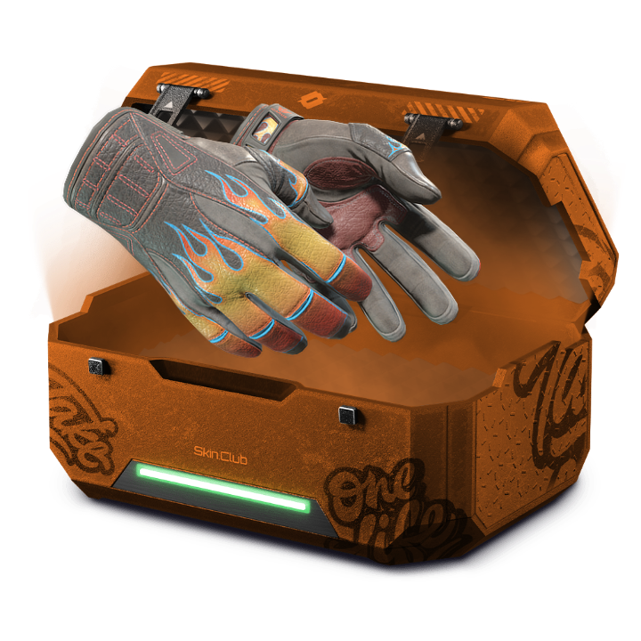 BLAZE CASE