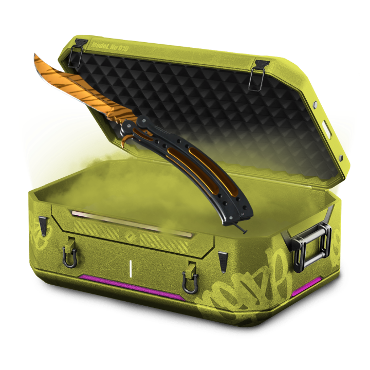 Regular case