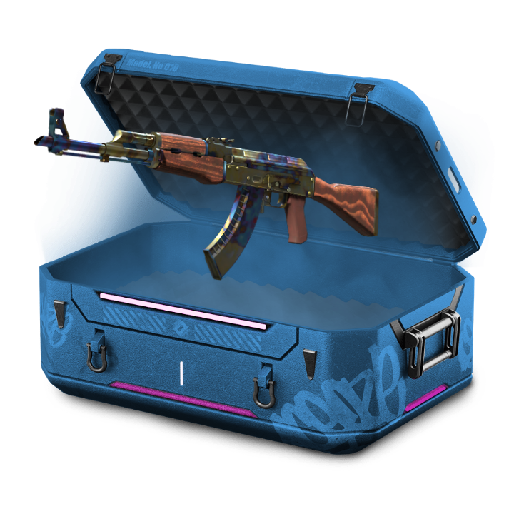 100% AK-47 CASE