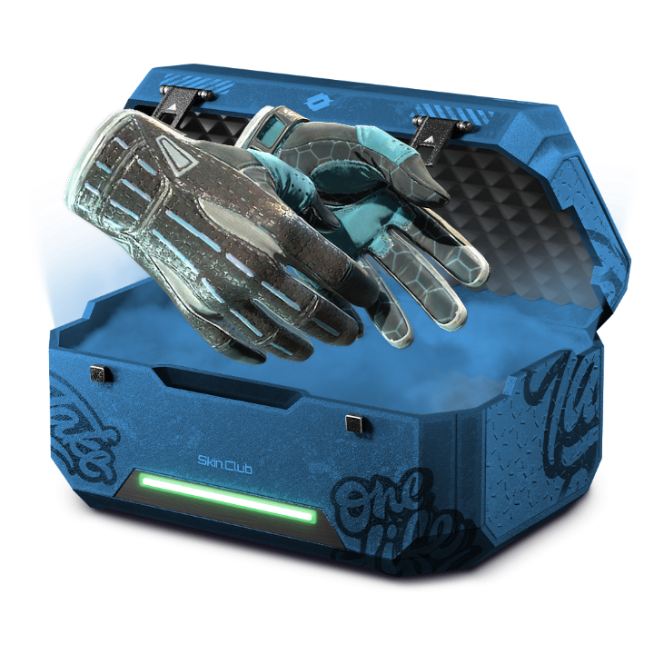 Easy Gloves PK/Open