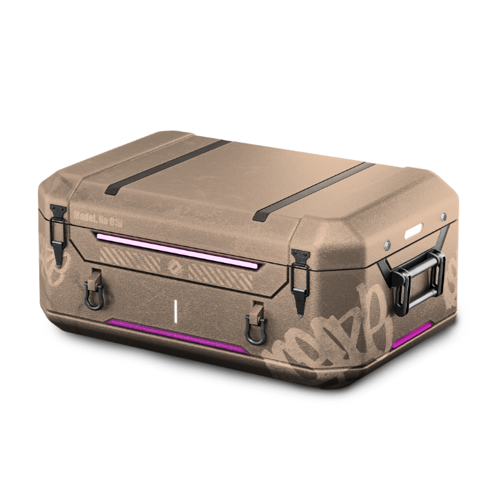 CHAT GPT CASE