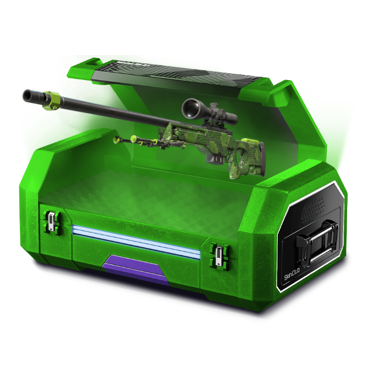 Good cheap skins💲