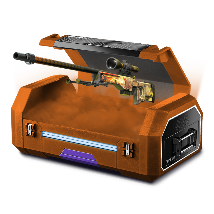 Level 100 case