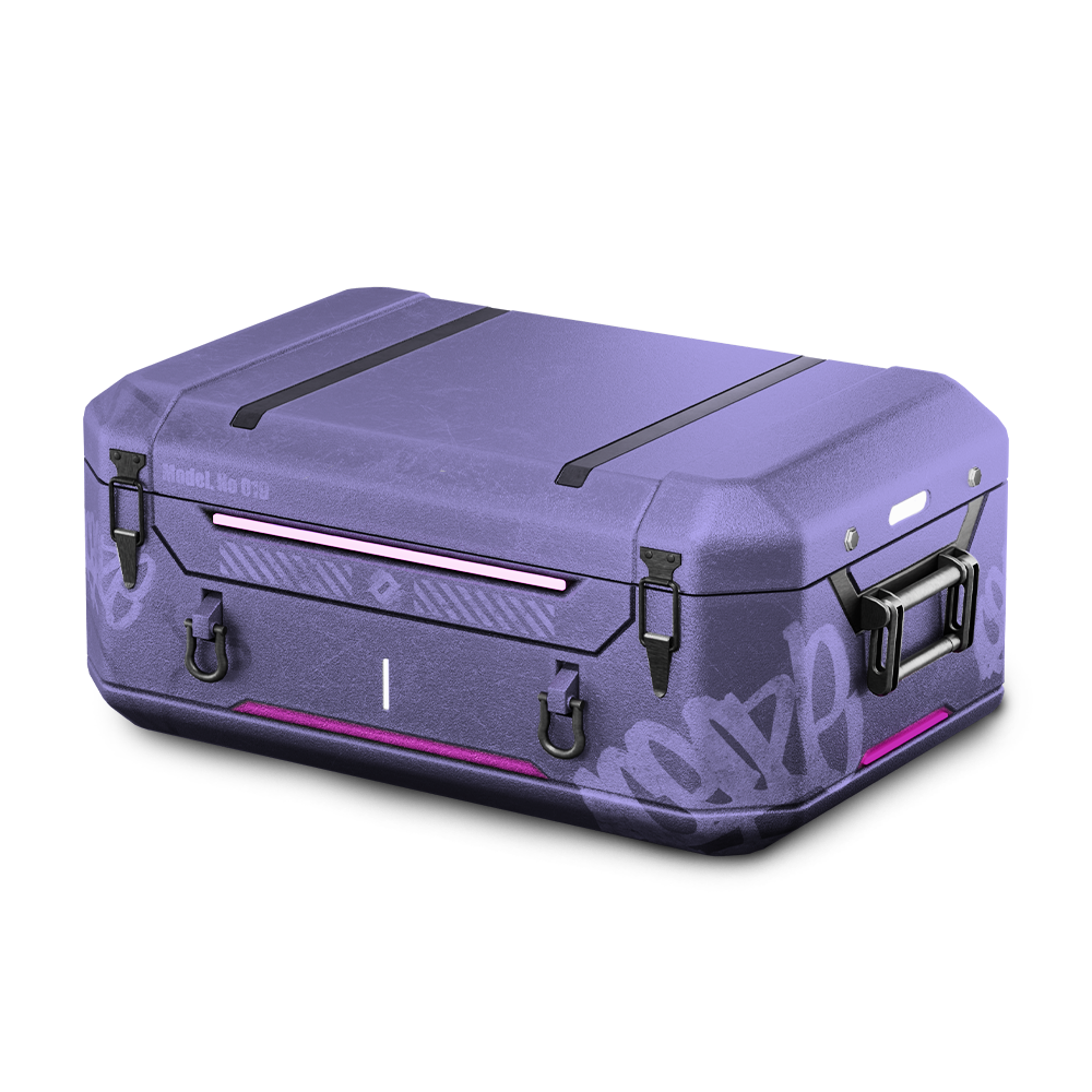 ddpat case
