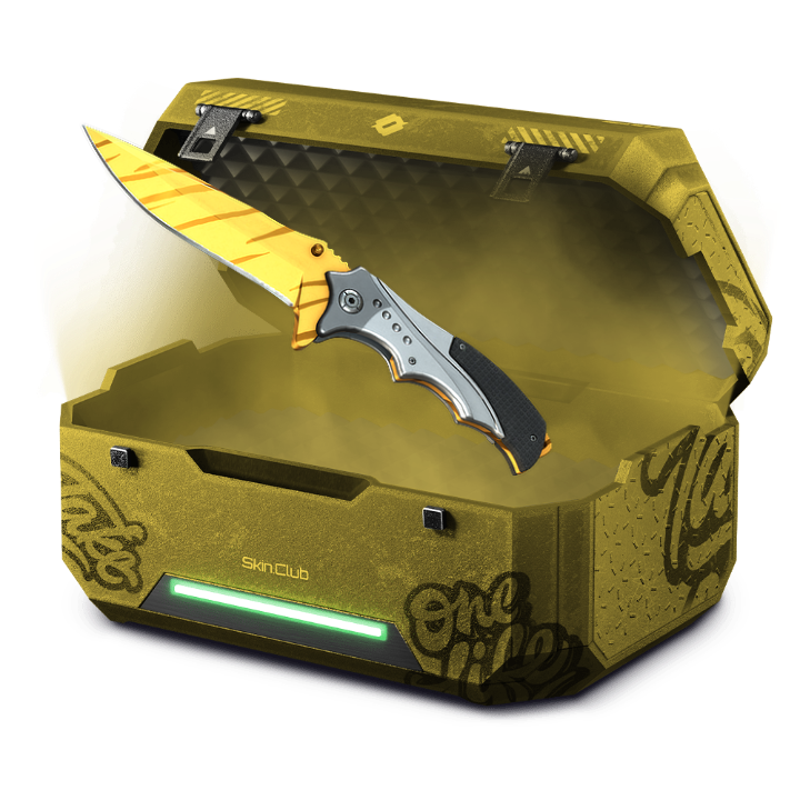 DES CASE
