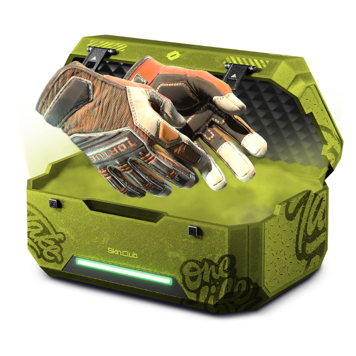 Glove casee