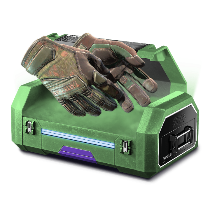 🌲40% Cheap Loadout🌲