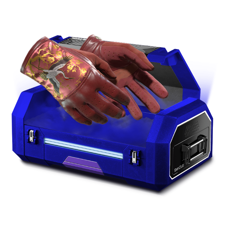 BHIM 16.0
