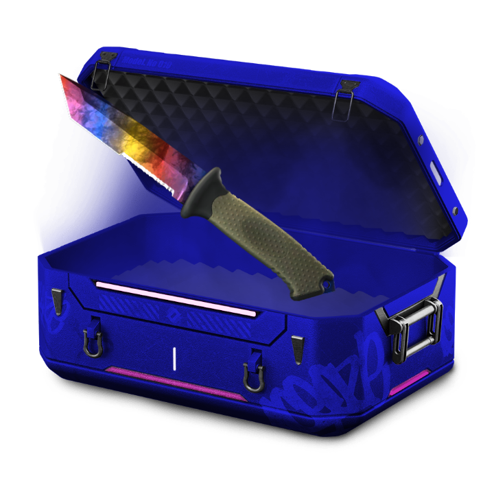 $2 Skill Issue Case