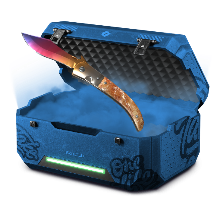 LEVEL 50 CASE