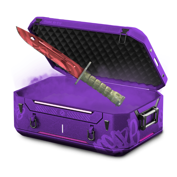 Nam 25% bayo
