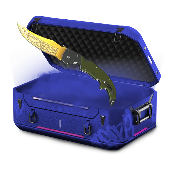 676767 CASE