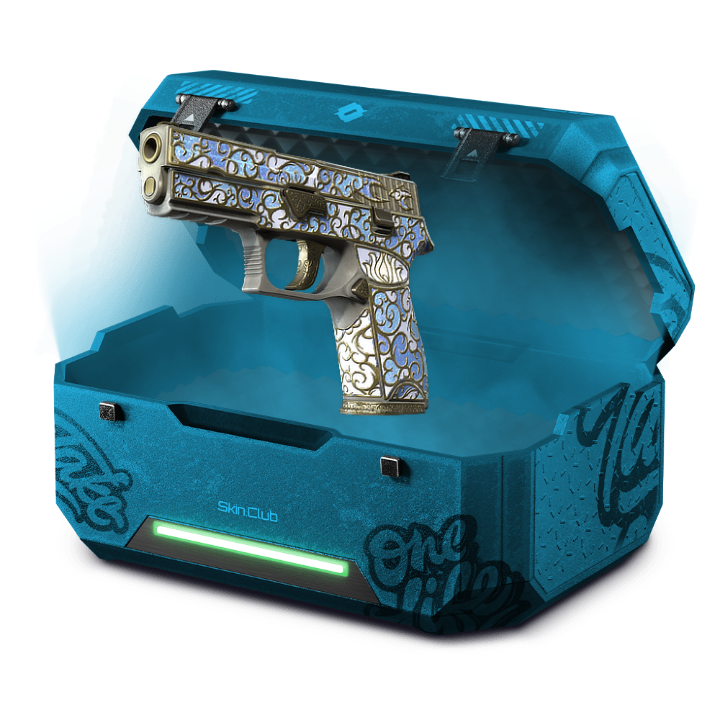 12% P250 PISTOL FARM +REP