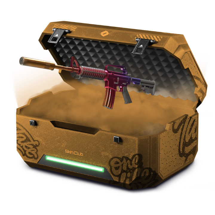 M4A1 | 20% Case