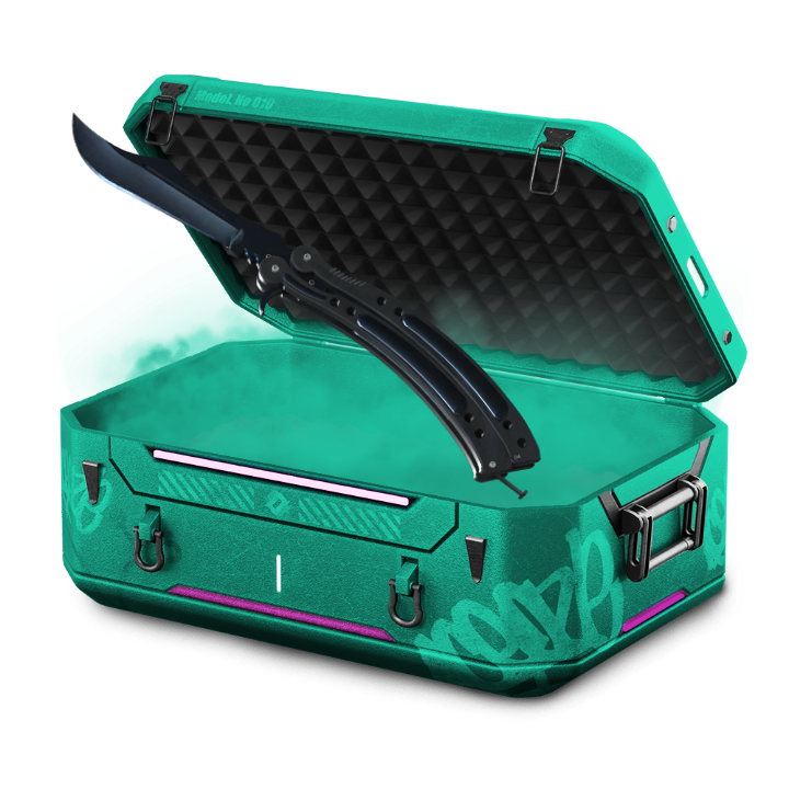 Tricolor Case