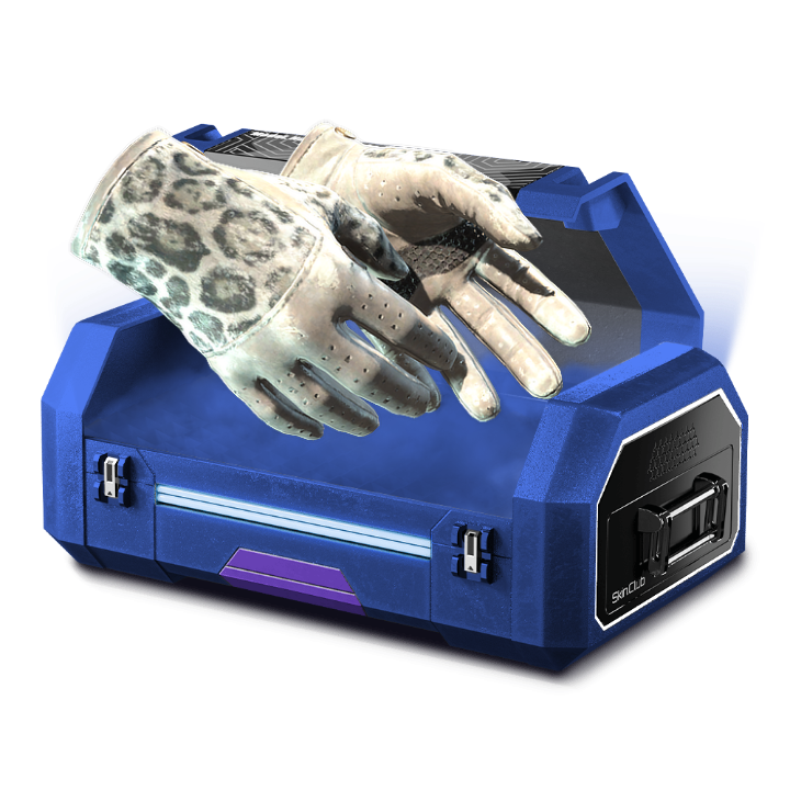10% TOP GLOVES