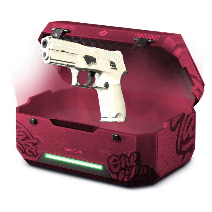Puff case