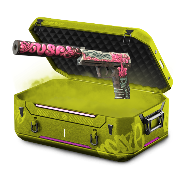 happy case