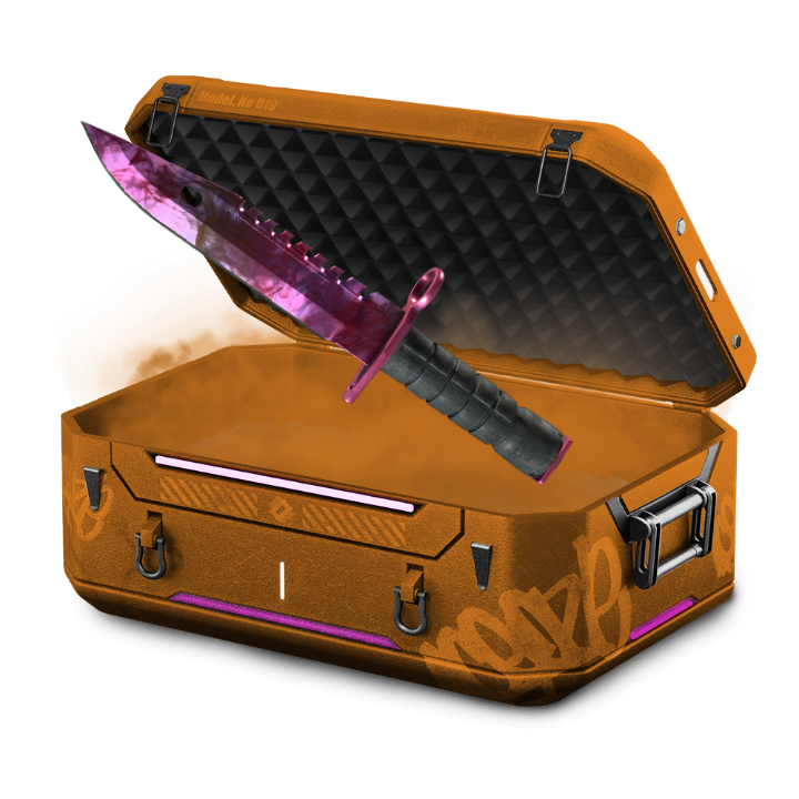 25% M9
