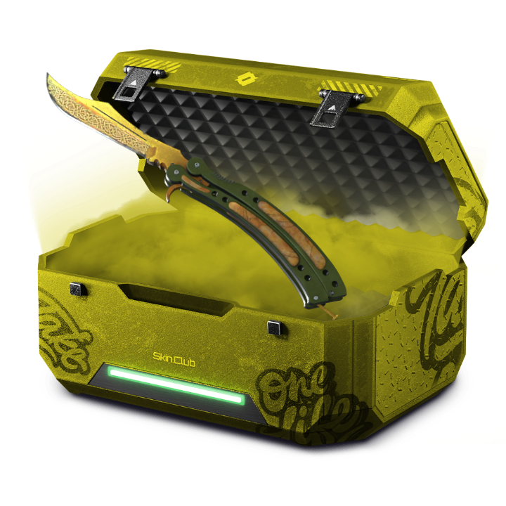 Case of the case