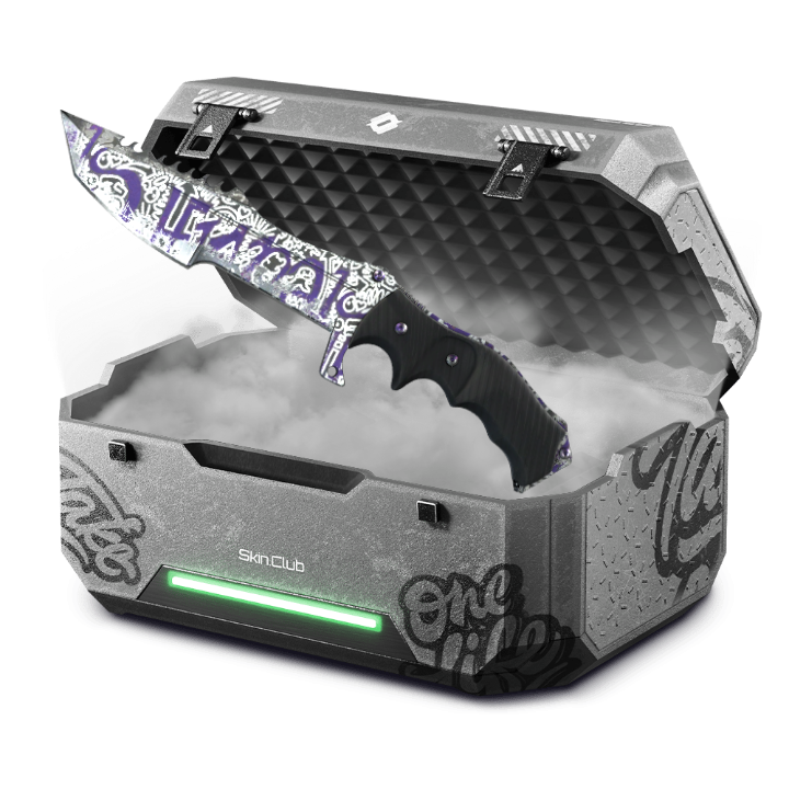 %10 sparkey case