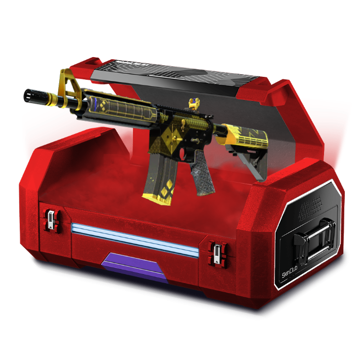 "BrAin?" M4A4 Case