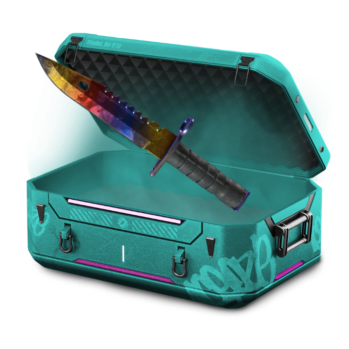 Riskcase