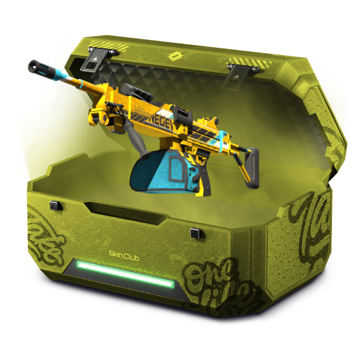 Negev case