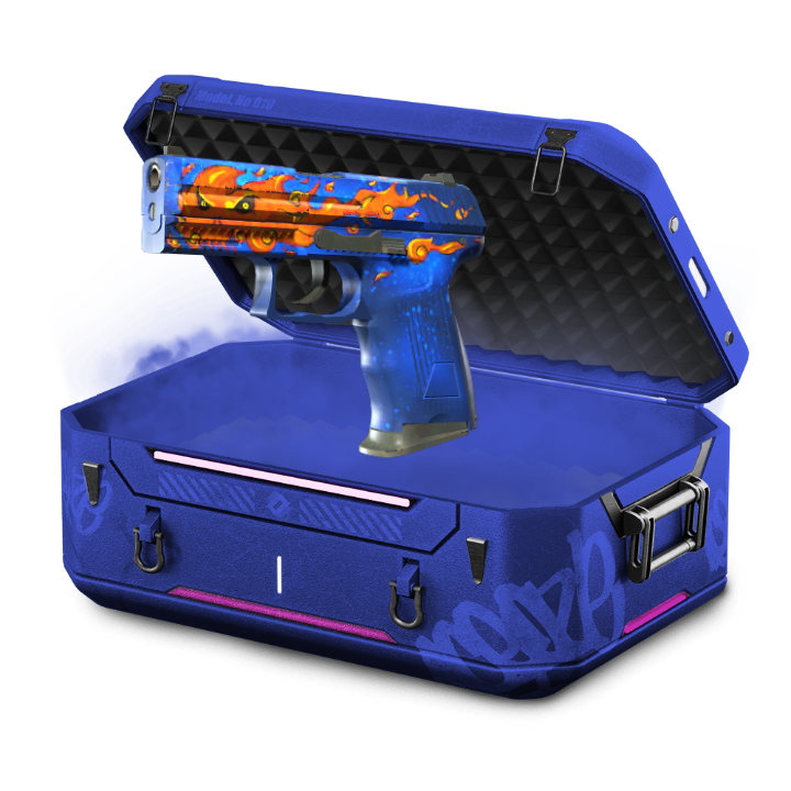 P2000 CASE