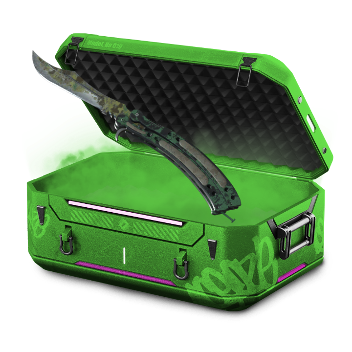 BS Boreal Case
