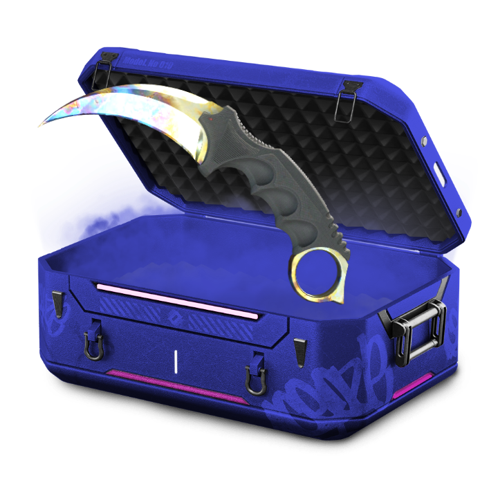 p3x case