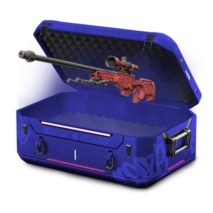 10% RANDOM SKINS