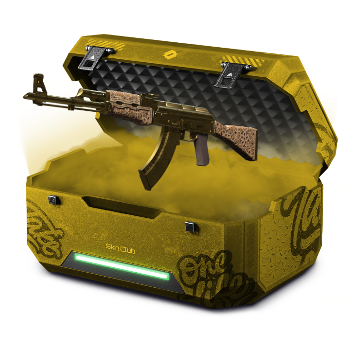 CT/T Gold Loadout